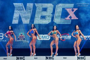 WELLNESS НОВИЧКИ